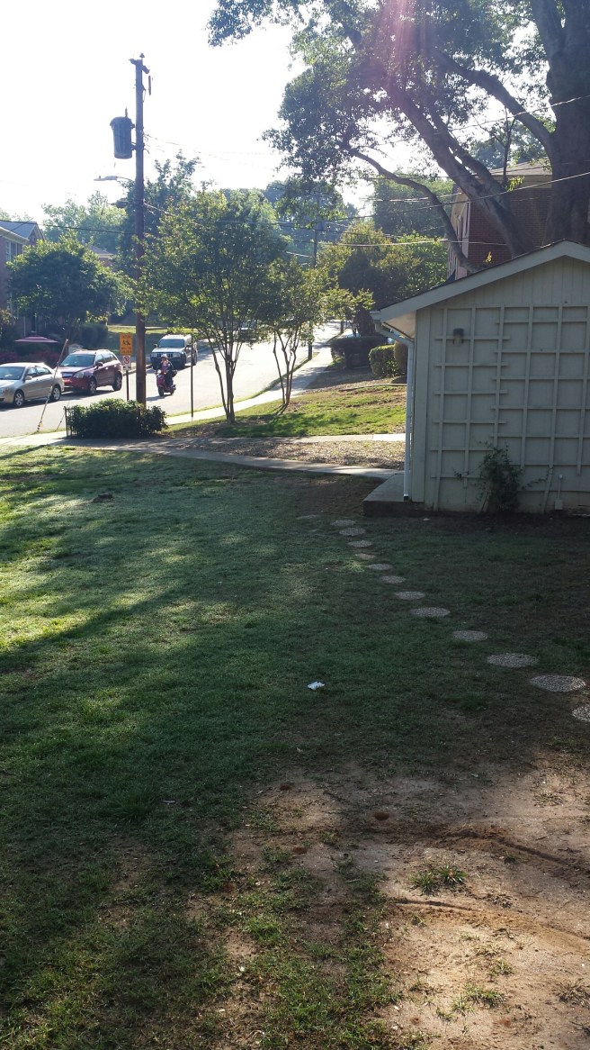 20160426_091249.jpg image